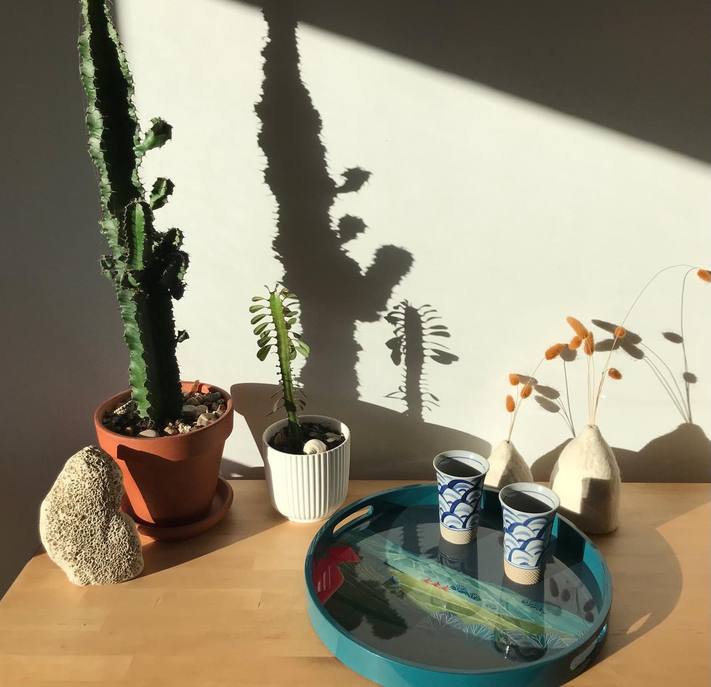 Khay sơn bóng, Rizières